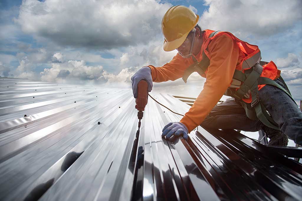 Roofs in Bloom: Transformative Power of Tree Roofing