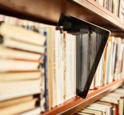 Conditions in Occupational Therapy: Effect on Occupational Performance (6th Edition) - Clinical Insights